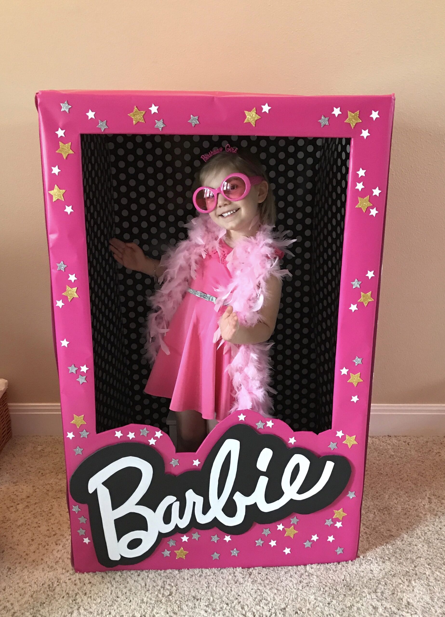 Barbie Doll Display Box