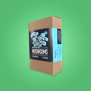 Mushroom Boxes